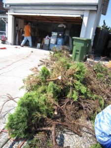 Big pile of branches.  We used 5 green cans (we have such great neighbors).  