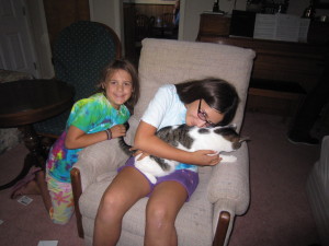 Niah found Mandi's cat.  Niah LOVES animals!