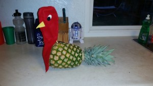 Our pineapple turkey.  This was a present from Alix's seminary teacher.  We enjoyed every bite of him....