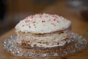 The only picture of my birthday.  But boy was that cake good.  We took a regular cake mix and added crushed candy cane, then we added more crushed candy cane to the frosting.  It was super yummy!