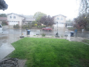 We had a couple of good rains in March.  They really are fun to watch.  As you can see it distracted all my kids.....and me!