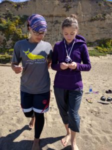 Compass activity on the beach.  Sun is out, waves breaking on the sand.  **sigh** would love to be there right now.  :o)